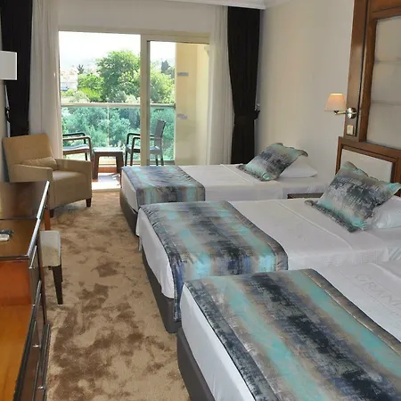 Grand Sahin's Otel 3*